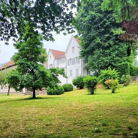 Domaine De La Moselle Acomodação com café da manhã Saint-Maurice-sur-Moselle Exterior foto